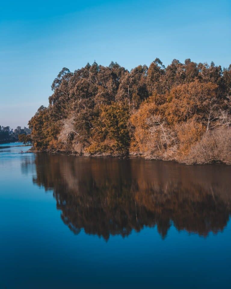 Embark on an Adventure: Explore Lake Victoria, Africa's Largest Freshwater Lake in Tanzania.